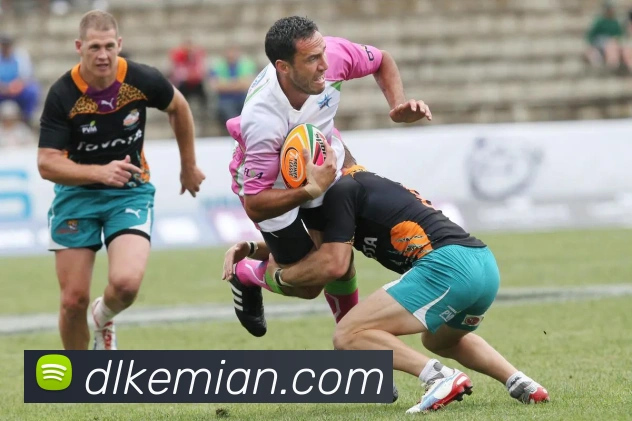 多媒体互动体验